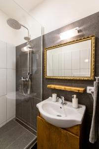 a bathroom with a sink and a shower and a mirror at Best View Apartments in Bratislava