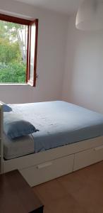 Ce lit se trouve dans un dortoir doté d'une fenêtre. dans l'établissement Tra mare e collina c'è Belmare, à Montecorice