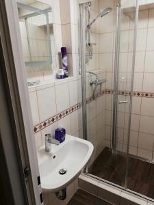 a bathroom with a sink and a shower at Appartement Bergblick in Tauplitz