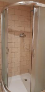 a shower with a glass door in a bathroom at Victoria - Penzion & Restaurant in Zvolen +56 photos