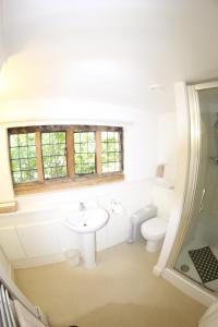 a bathroom with a sink and a toilet at FSC Flatford Mill Hostel in East Bergholt