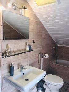a bathroom with a sink and a toilet at Vadszőlő Apartmanház Gyomaendrőd in Gyomaendrőd