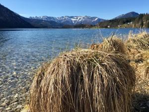 Fotografia z galérie ubytovania Landhaus Hallstättersee v destinácii Bad Goisern