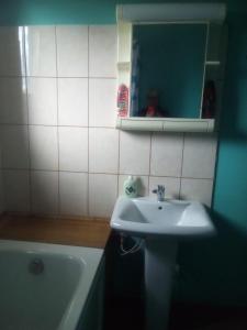 a bathroom with a sink and a tub and a mirror at Гостевой таунхаус in Demidov +26 photos