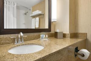 a bathroom with a sink and a mirror at Holiday Inn & Suites Duluth-Downtown, an IHG Hotel in Duluth