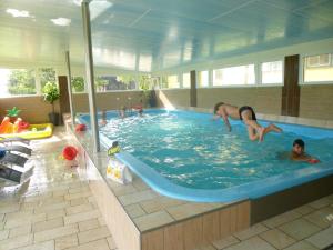 una persona che si tuffa in una piscina di Kerndlerhof a Ybbs an der Donau