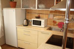 eine Küche mit einem weißen Kühlschrank und einer Mikrowelle in der Unterkunft Элитная Люкс квартира с видом на реку Иртыш! in Pawlodar