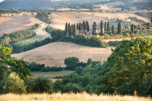 vista su una collina con alberi e su una città di Villa San Sanino - Relais in Tuscany a Torrita di Siena