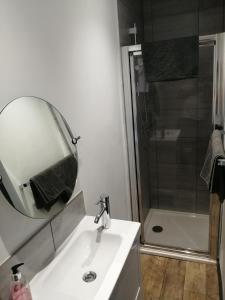 a bathroom with a sink and a mirror and a shower at Featherbed Cottage in Coventry