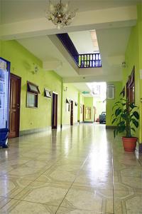 um corredor vazio com paredes verdes e um vaso de plantas em Hotel Posada del Centro em Guatemala