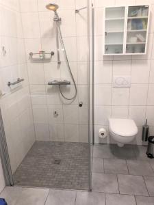 y baño con ducha y aseo. en Ferienhaus zur Blautanne, en Klipphausen