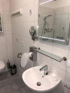 a bathroom with a sink and a mirror and a toilet at Ferienhaus zur Blautanne in Klipphausen