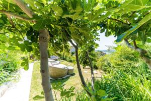 Zahrada ubytování Villa La Vagabonda Apartment