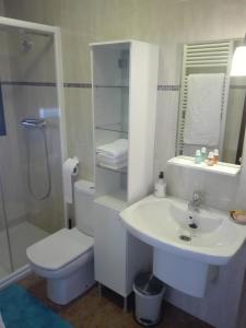 uma casa de banho com um lavatório, um WC e um chuveiro em turismo rural del somontano (Alquiler de apartamentos) em Salas Bajas