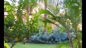 A garden outside MARBELLA ALICATE BEACHFRONT - Luxury Apartment-2