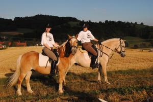 dos personas montando a caballo en un campo en Gut Dankerode, en Dankerode