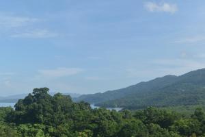 a view of a valley with trees and a lake at Haven View Villa & Spa in Bluefields