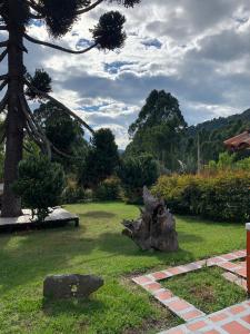 a garden with a tree stump in the grass at Ecohotel Pinohermoso Reserva Natural in Salento