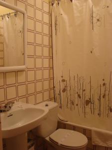 een badkamer met een toilet, een wastafel en een douchegordijn bij Pensión Mariaje in Celorio
