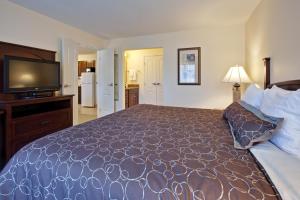 a bedroom with a large bed and a flat screen tv at Staybridge Suites Indianapolis-Carmel, an IHG Hotel in Carmel