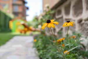 Fotografie z fotogalerie ubytování Guest House Kehayovi v destinaci Bansko
