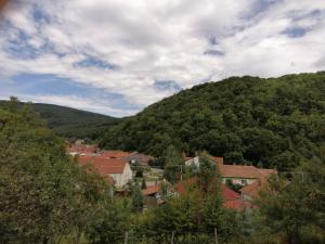 a town in front of a mountain with trees at Csillag Vendégház in Répáshuta