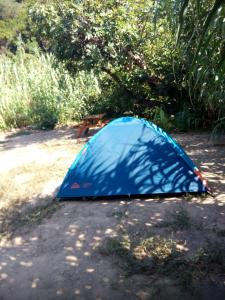 Fotografie z fotogalerie ubytování Les Bambous, camping naturiste v destinaci Ile du Levant