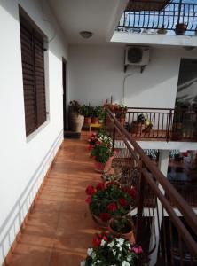 a balcony with potted plants on the side of a building at Apartmani Dado in Ulcinj