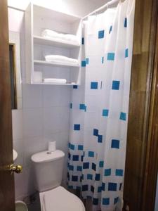 y baño con aseo y cortina de ducha. en Hotel Eclipse en Concepción