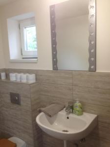 Kúpeľňa v ubytovaní Apartman Luca + 27 fotografií