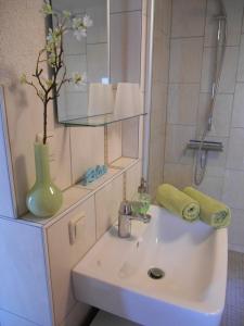 a bathroom with a sink with a shower and a mirror at Ferienwohnung Villa Lütt in Bleckede