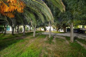 A garden outside Residence Palm Beach