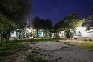 A garden outside Residence Palm Beach