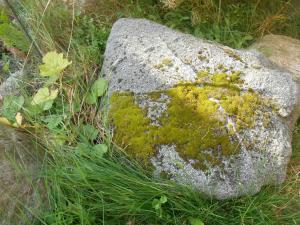 a rock with moss on it in the grass at Ferienwohnung Villa Lütt in Bleckede
