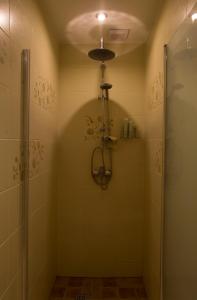 a bathroom with a shower and a glass door at Mini spa Harmonija in Zapyškis +18 photos