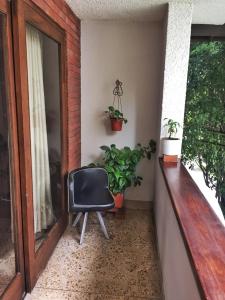 a room with a chair and a plant in it at Ivy Hostel in Medellín