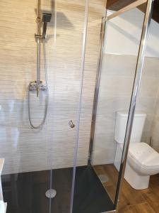 een badkamer met een douche en een toilet bij Apartamento del Abuelo in Isla