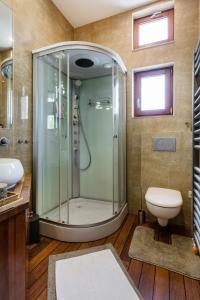 a bathroom with a shower and a toilet at CityPark Design Flat in Budapest
