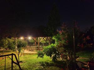 A garden outside Best summer vacation
