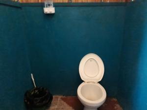 a bathroom with a white toilet and a blue wall at Turtle Dive Homestay in Kri