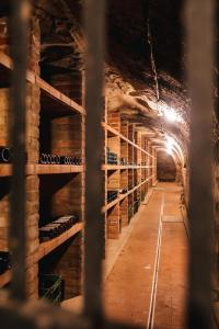 Φωτογραφία από το άλμπουμ του Vinný sklep André σε Chvalovice