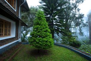 Fotografie z fotogalerie ubytování Bracknell Forest v destinaci Munnar