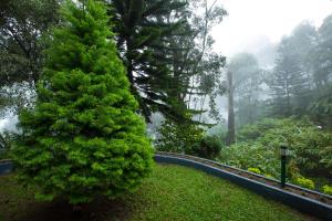 Fotografie z fotogalerie ubytování Bracknell Forest v destinaci Munnar