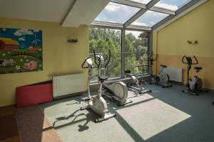 a gym with cardio equipment in a room with a window at Centrum Rekreacji i Rehabilitacji Jubilat Sp.zo.o in Wisła
