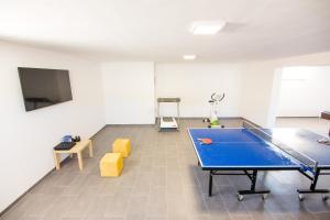 Stolný tenis v ubytovaní VILLA HORIZONT alebo v jeho okolí