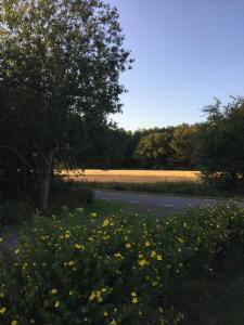 Un paisaje natural cerca del complejo de cabañas