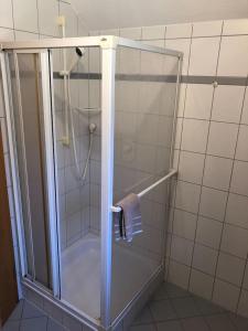 a shower with a glass door in a bathroom at Wein Lodge Durbach - Josephsberg in Durbach