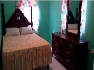 a bedroom with a bed and a dresser and a mirror at Reggae Moon Guesthouse in Falmouth