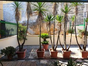 Galería fotográfica de case vacanze, La casa di Angelo, con terrazzo en Oria
