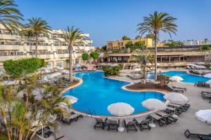 Barceló Corralejo Bay - للبالغين فقط في كوراليخو: اطلالة علوية على مسبح المنتجع مع الكراسي والنخيل